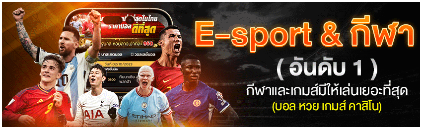 Tiger711 ผลบอล วันนี้ อัปเดตผลบอลสดแบบเรียลไทม์ ครบทุกลีก ปก