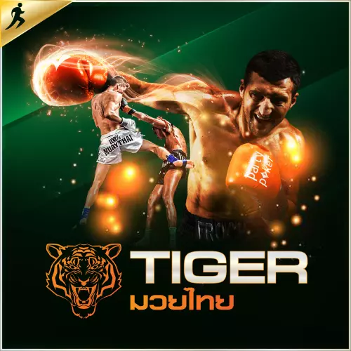 tiger boxing